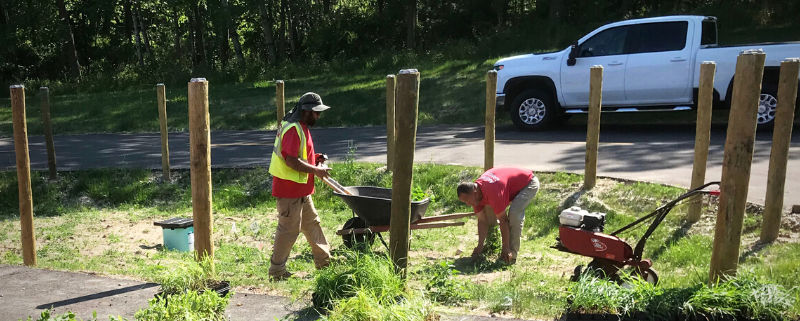 Rain Garden Installation