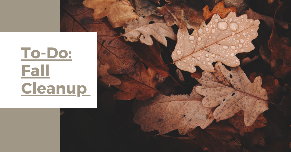 Time to Do Some Fall Landscape Clean Up! | American Landscape