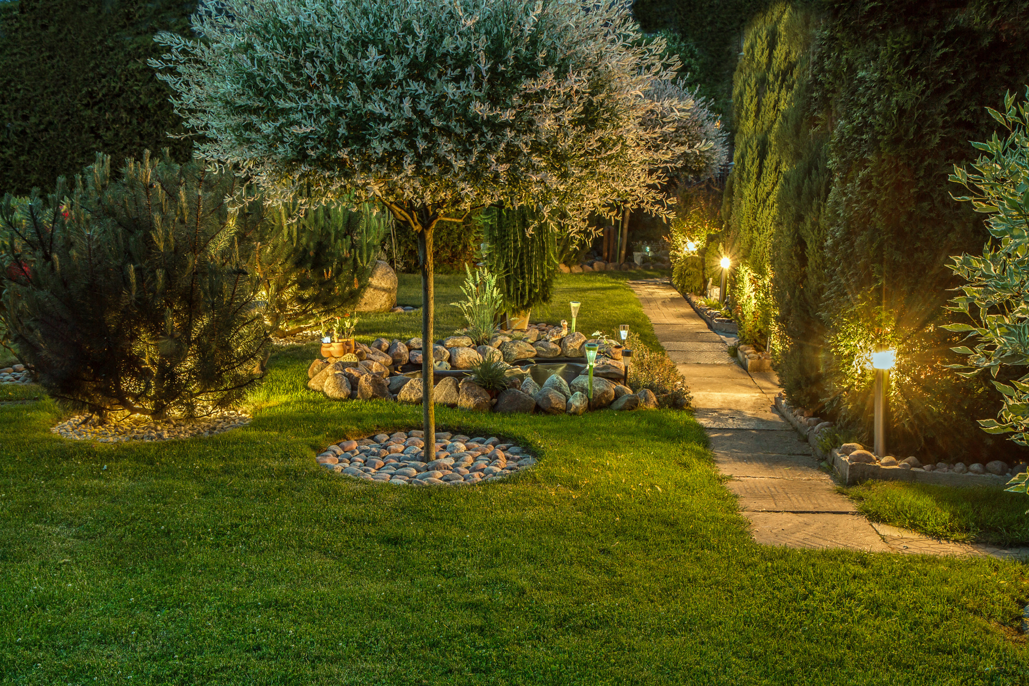 Ggarden illuminated by lamps