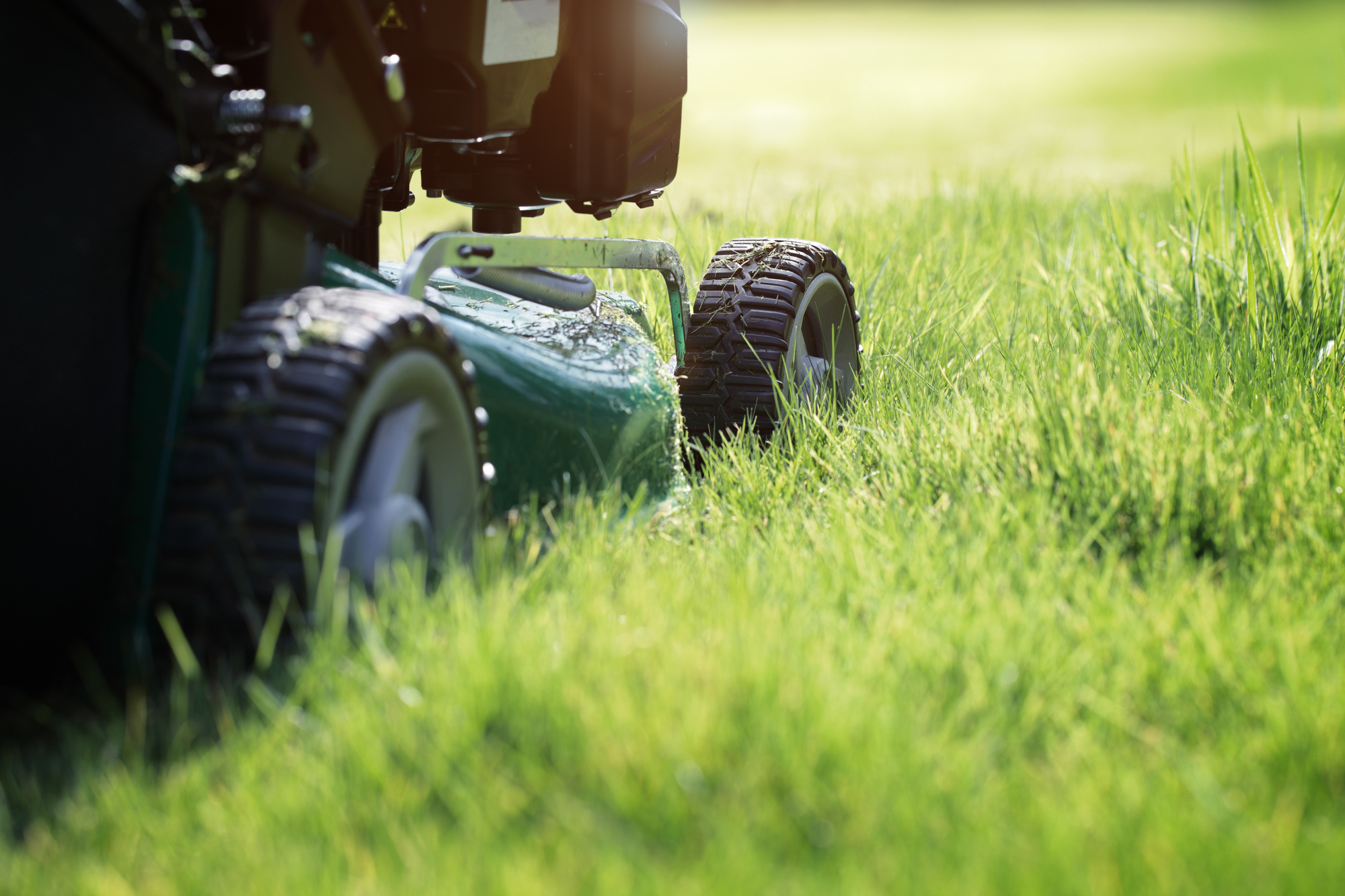 Summer getting their lawn mowed on a summer day