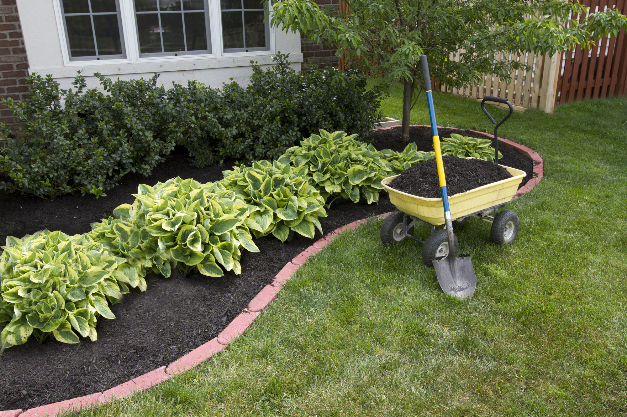 pretty landscaped lawn with sustainable design and mulch