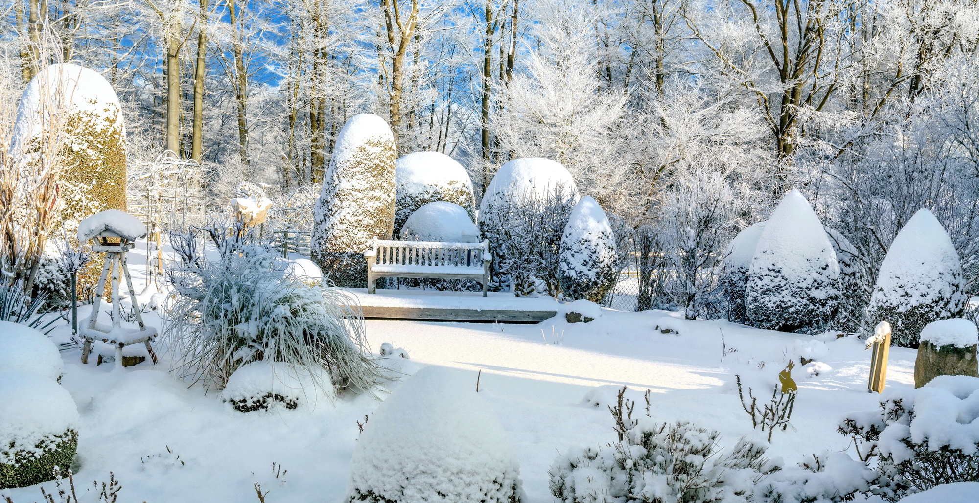 frosted over winterized garden