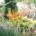 Landscaping Tips for August