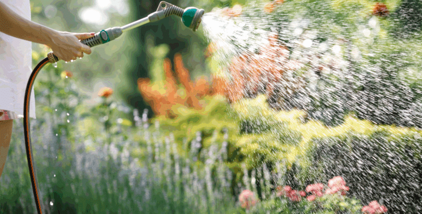 Landscaping Tips for August