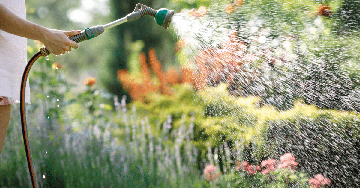 Landscaping Tips for August