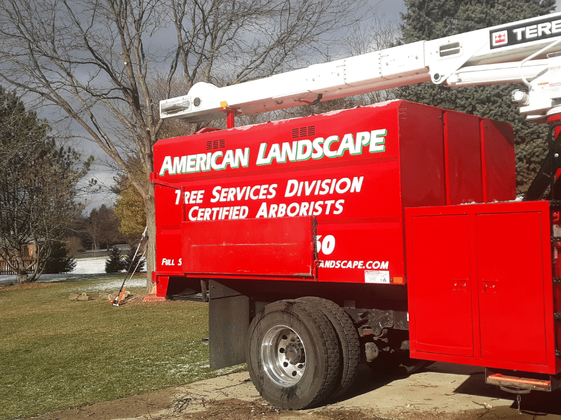 Expert Tree Care Service in Southeast Wisconsin