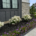 August Landscaping Tips