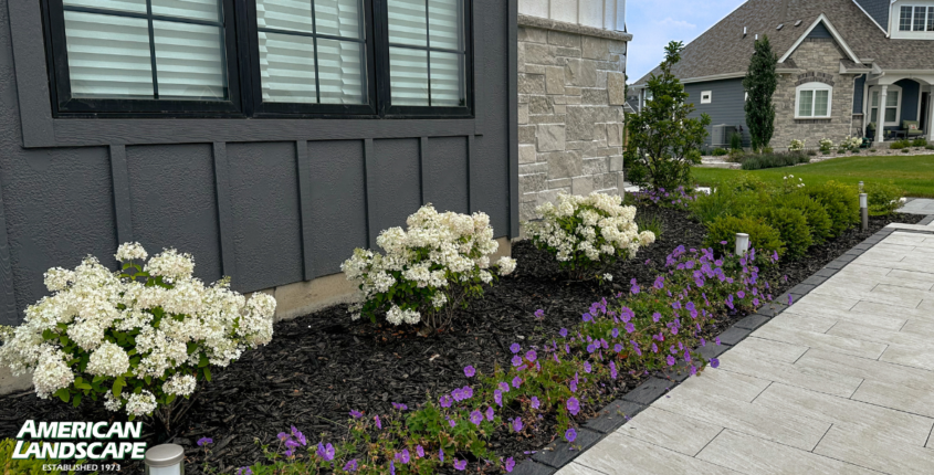 August Landscaping Tips