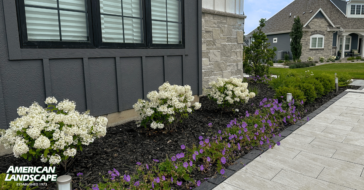 August Landscaping Tips