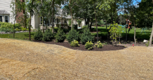 Fall lawn installation and landscaping