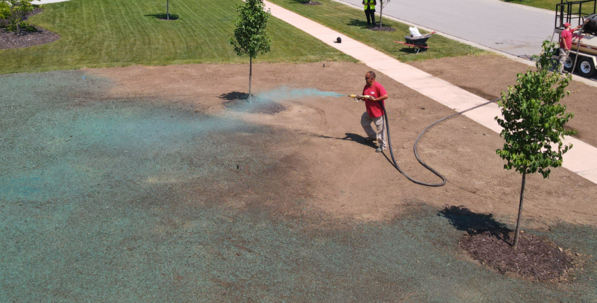 Caring for a Newly Seeded Lawn | American Landscape