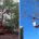 American Landscape - Certified Arborist Services