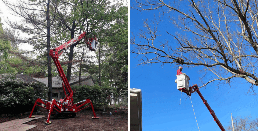 American Landscape - Certified Arborist Services