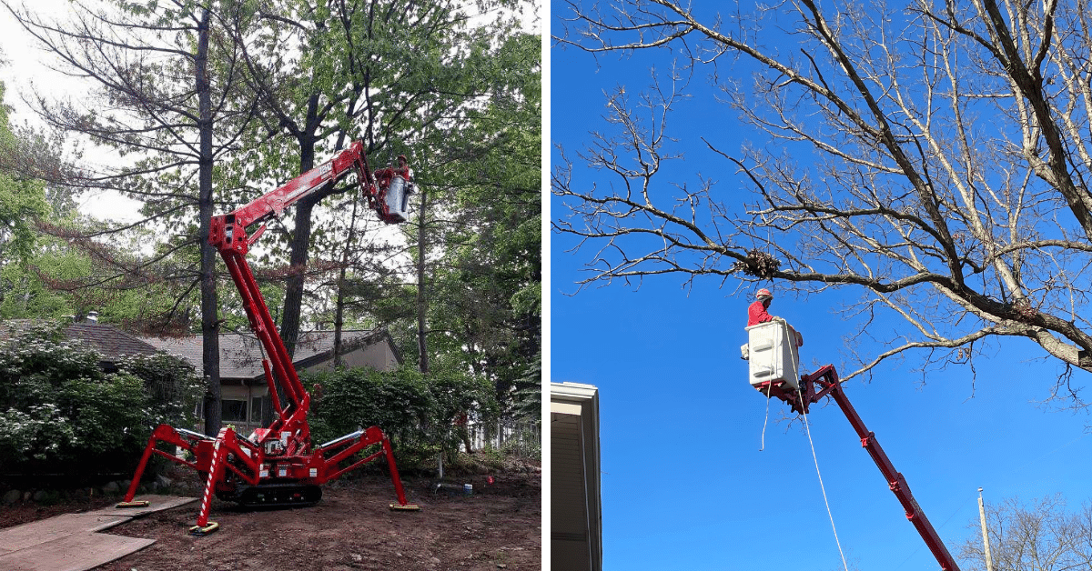 American Landscape - Certified Arborist Services
