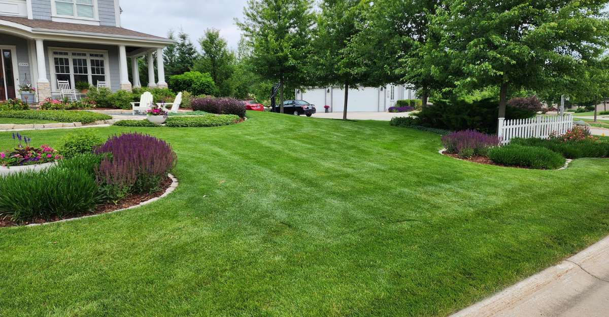 Comprehensive Lawn Care Services