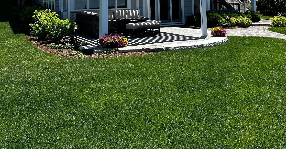 Comprehensive Lawn Care Services