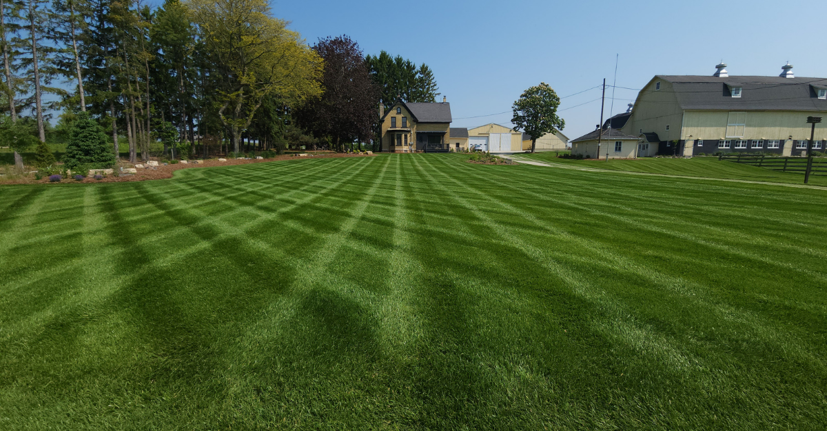 Comprehensive Lawn Care Services5