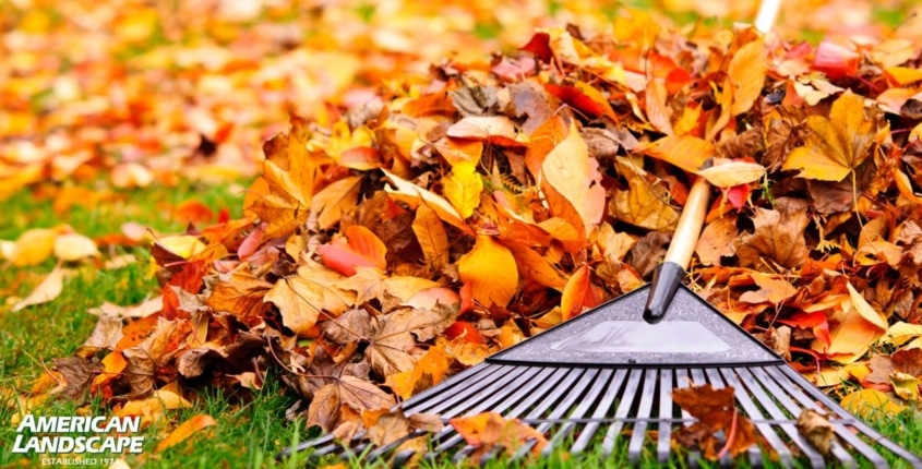 Fall landscaping checklist