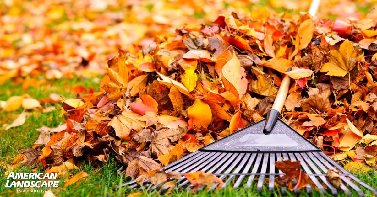 Fall landscaping checklist