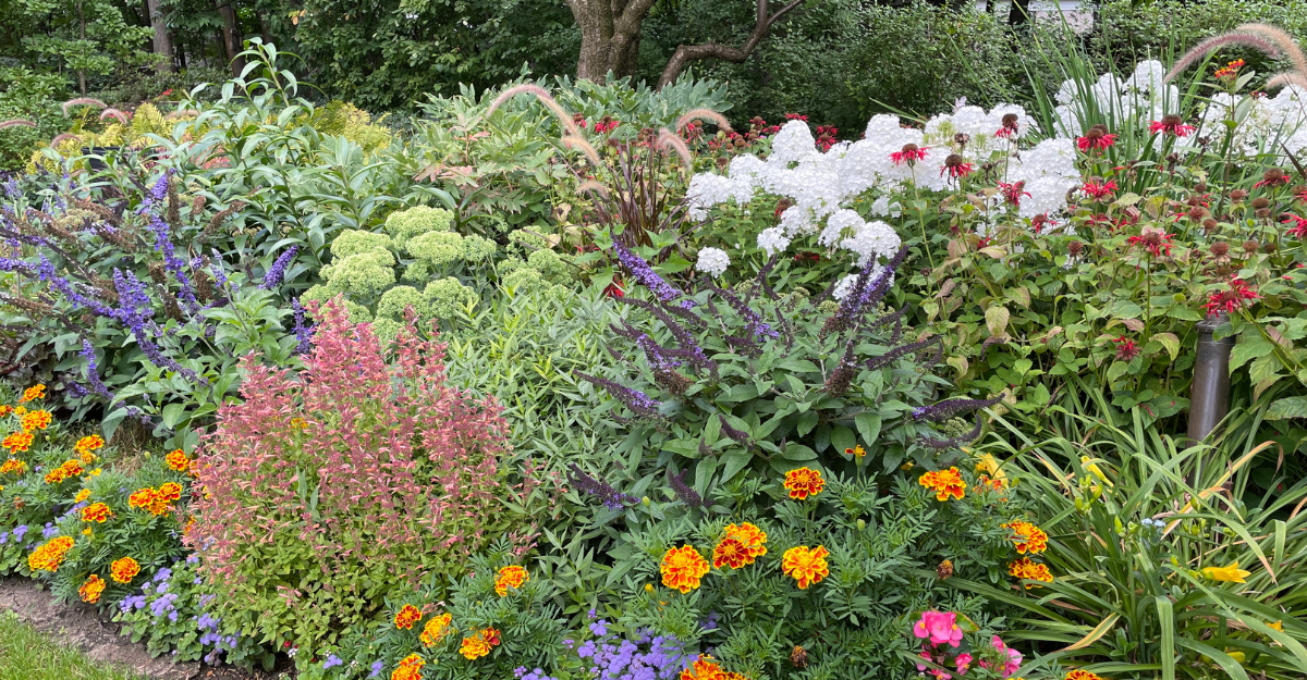 HortiCare Plant Health and Wellness