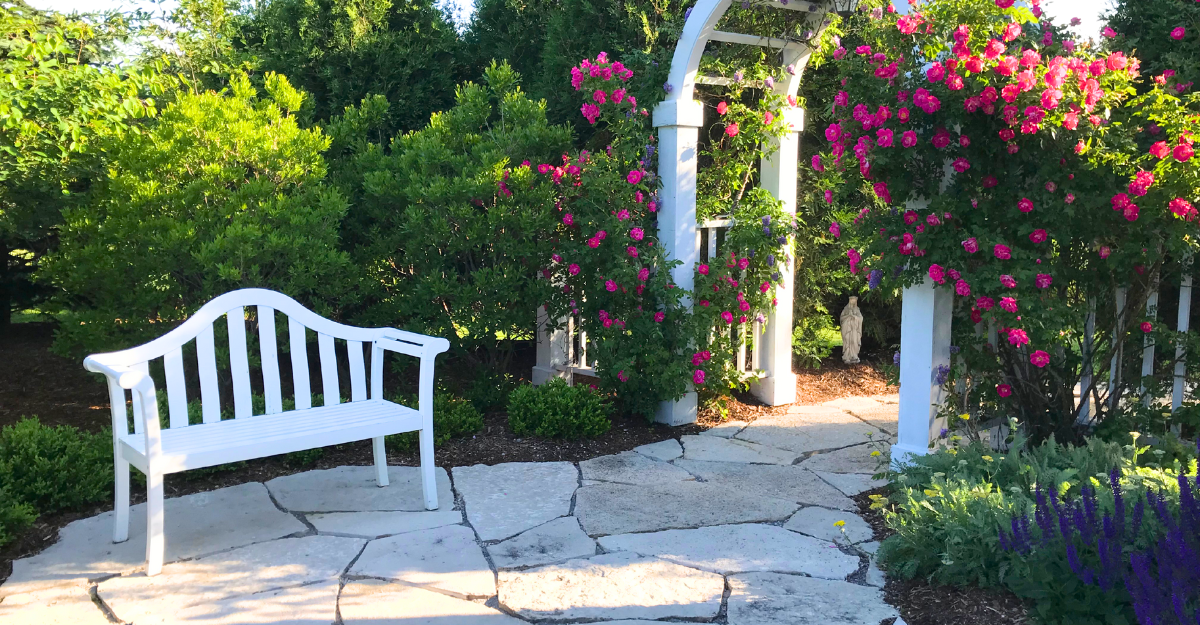 Horticare Plant Health and Wellness