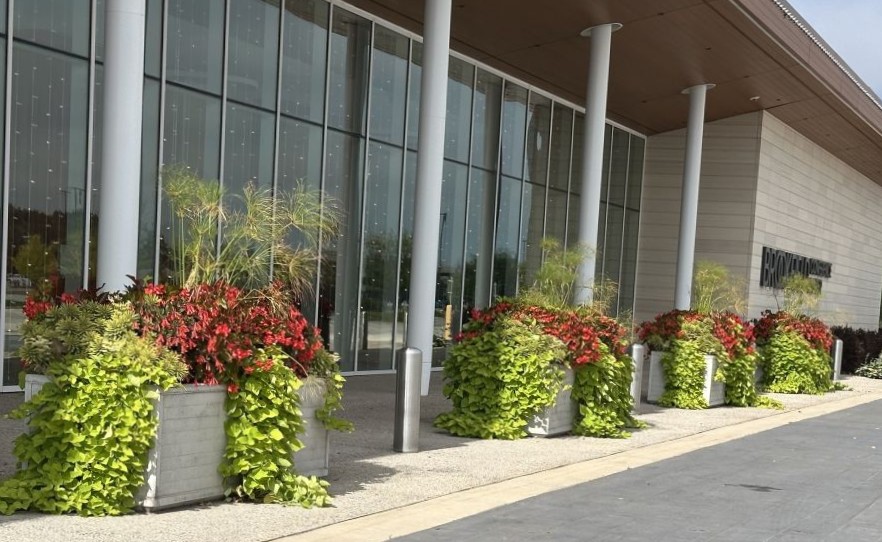 Landscape Maintenance
