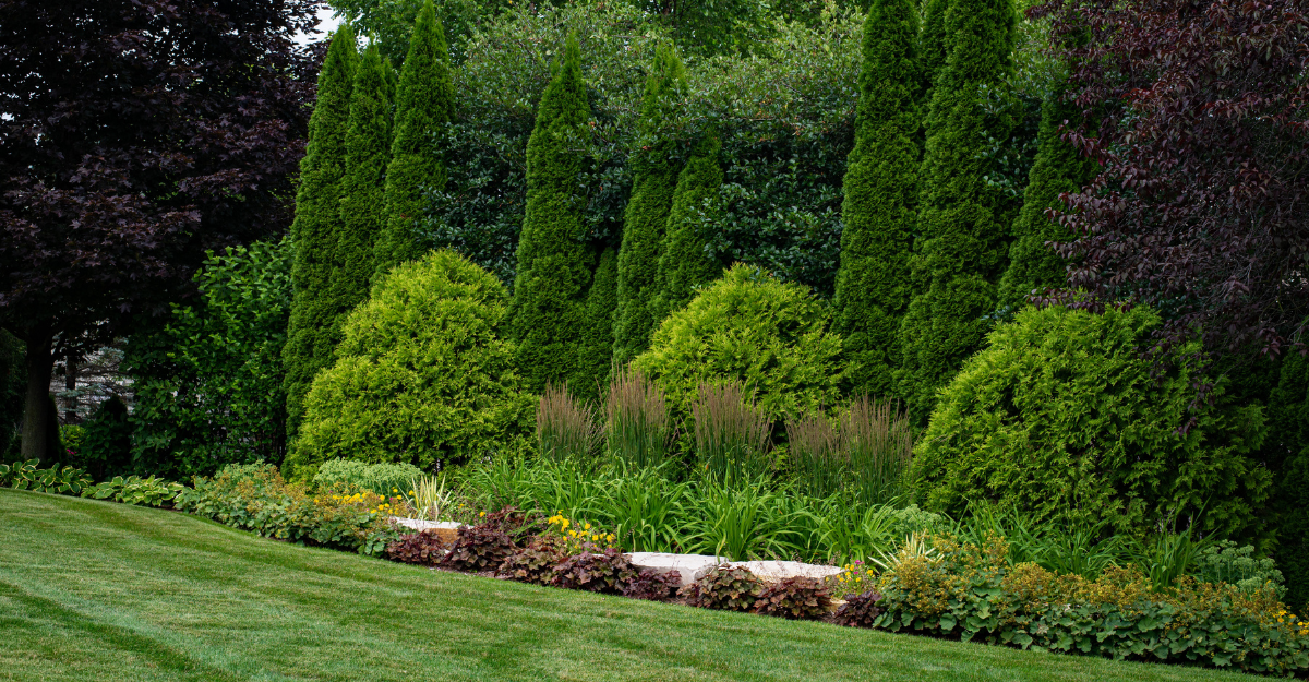Landscape Maintenance
