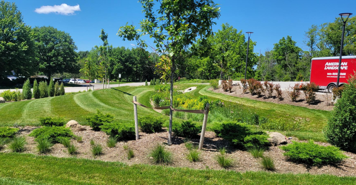 Landscape Maintenance