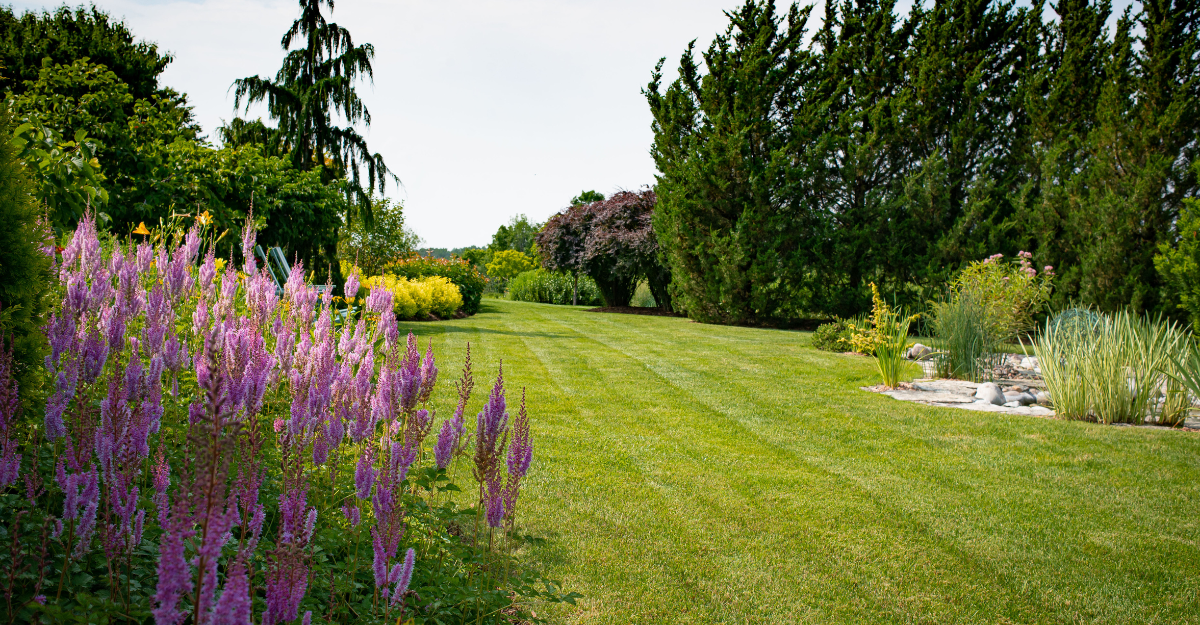 Landscape Maintenance