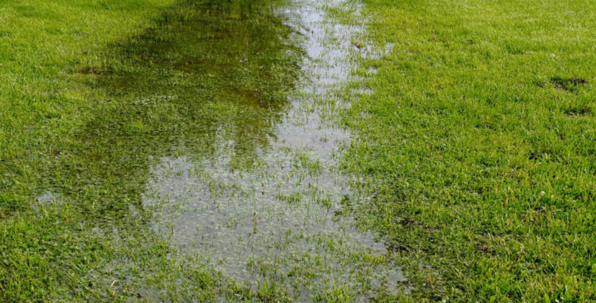 Lawn Drainage Issue