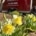 Mid-May Landscaping Tips for Southeast Wisconsin