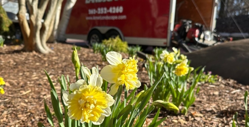 Mid-May Landscaping Tips for Southeast Wisconsin