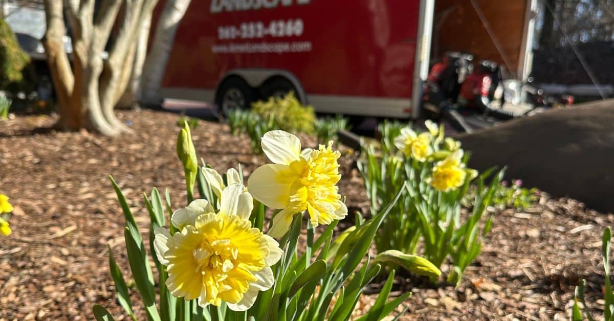 Mid-May Landscaping Tips for Southeast Wisconsin