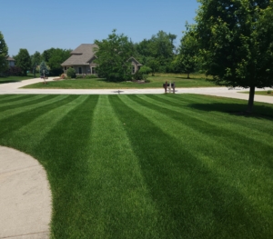 Lawn Care Program