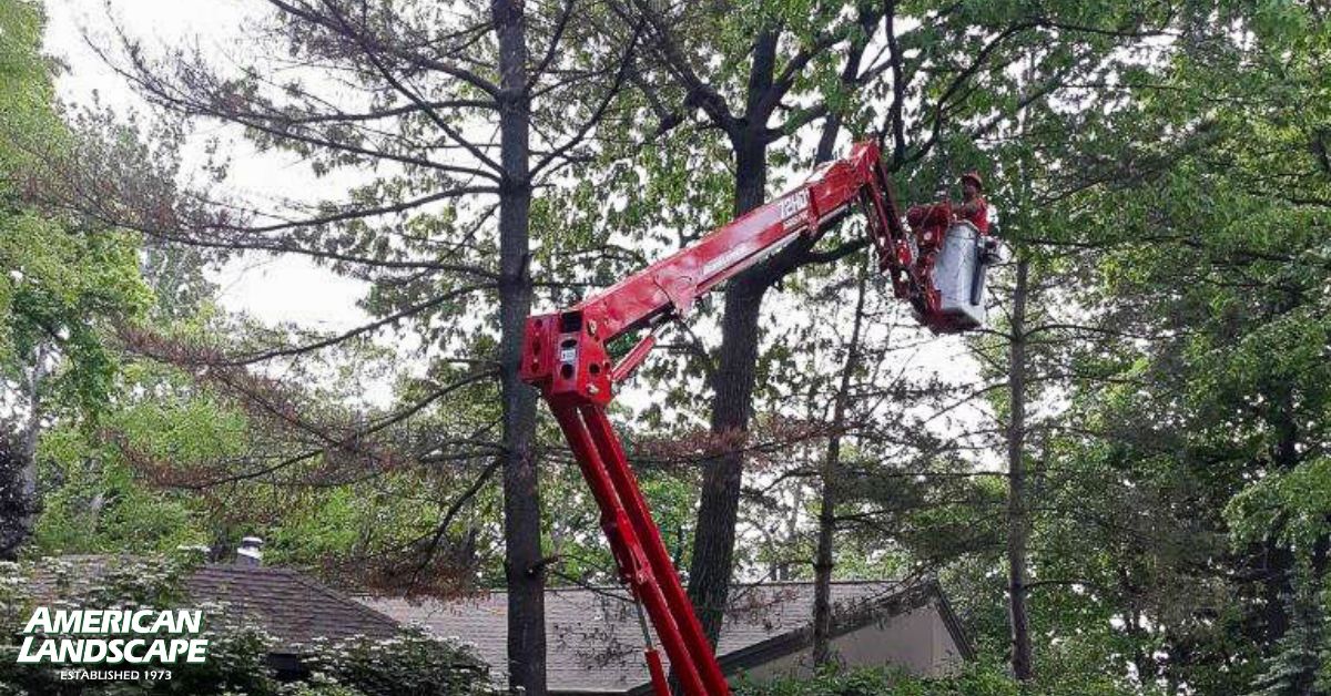 Proactive Tree Pruning: Prevent Damage Before It Starts