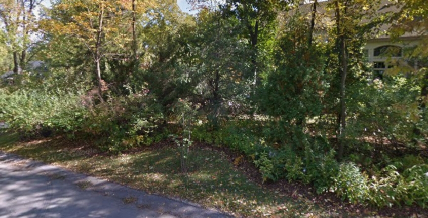 Replacing Overgrown Shrubs