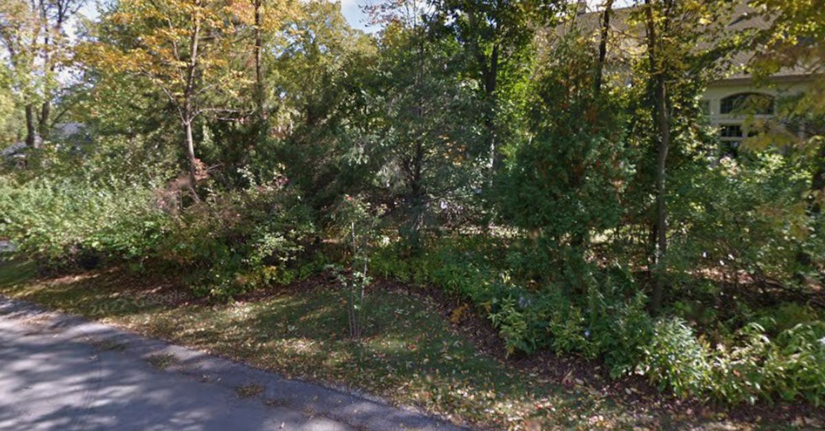 Replacing Overgrown Shrubs