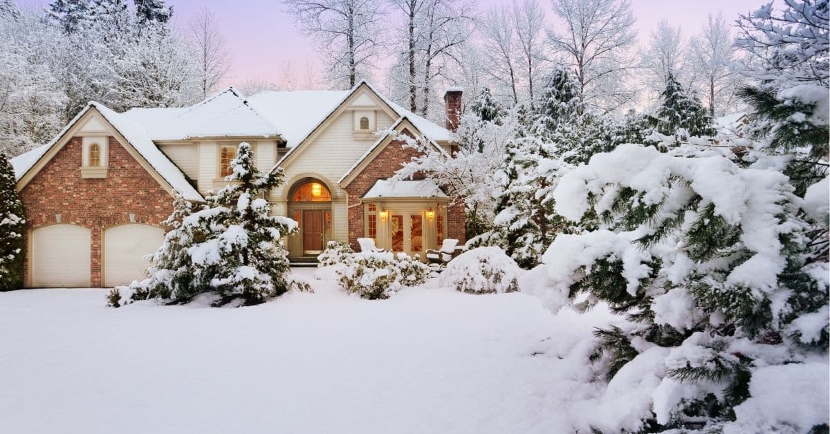 Snow and Your Landscape