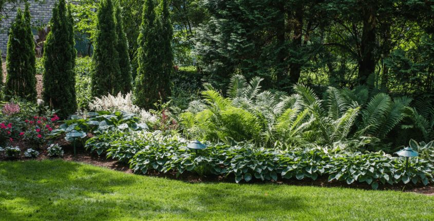 Spring Landscaping for Privacy and Security