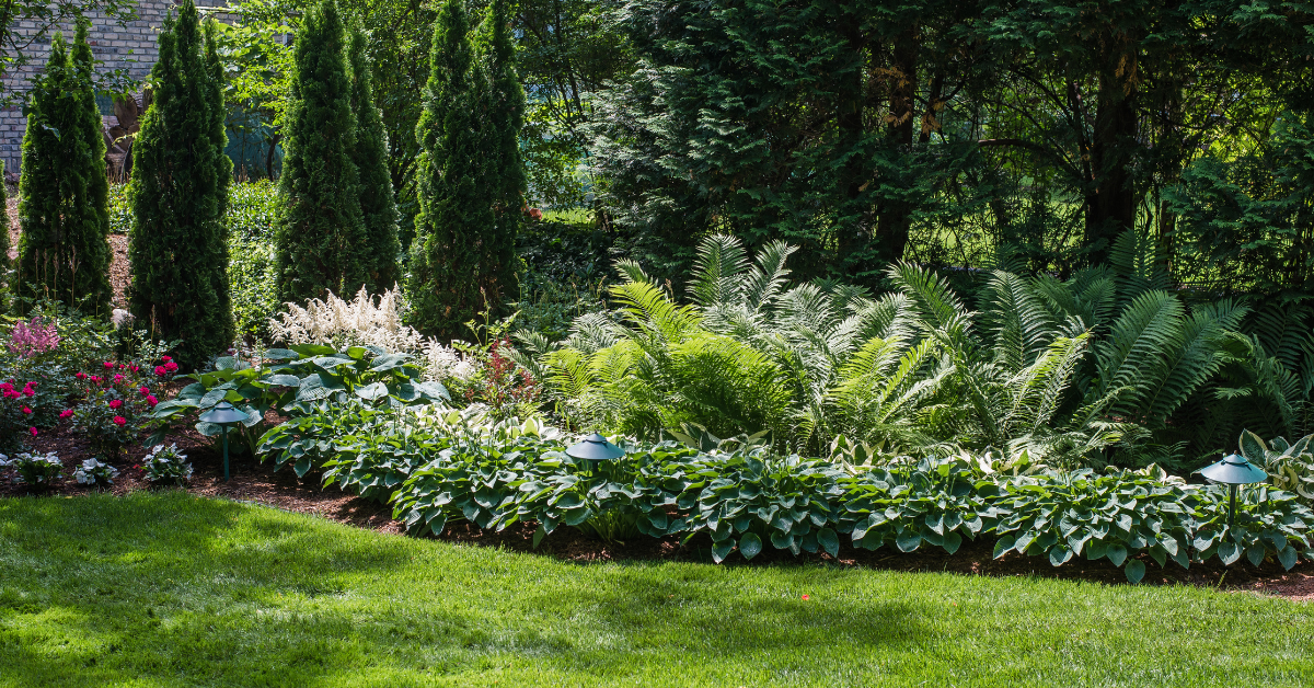Spring Landscaping for Privacy and Security