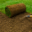 How to Care for Your Sod