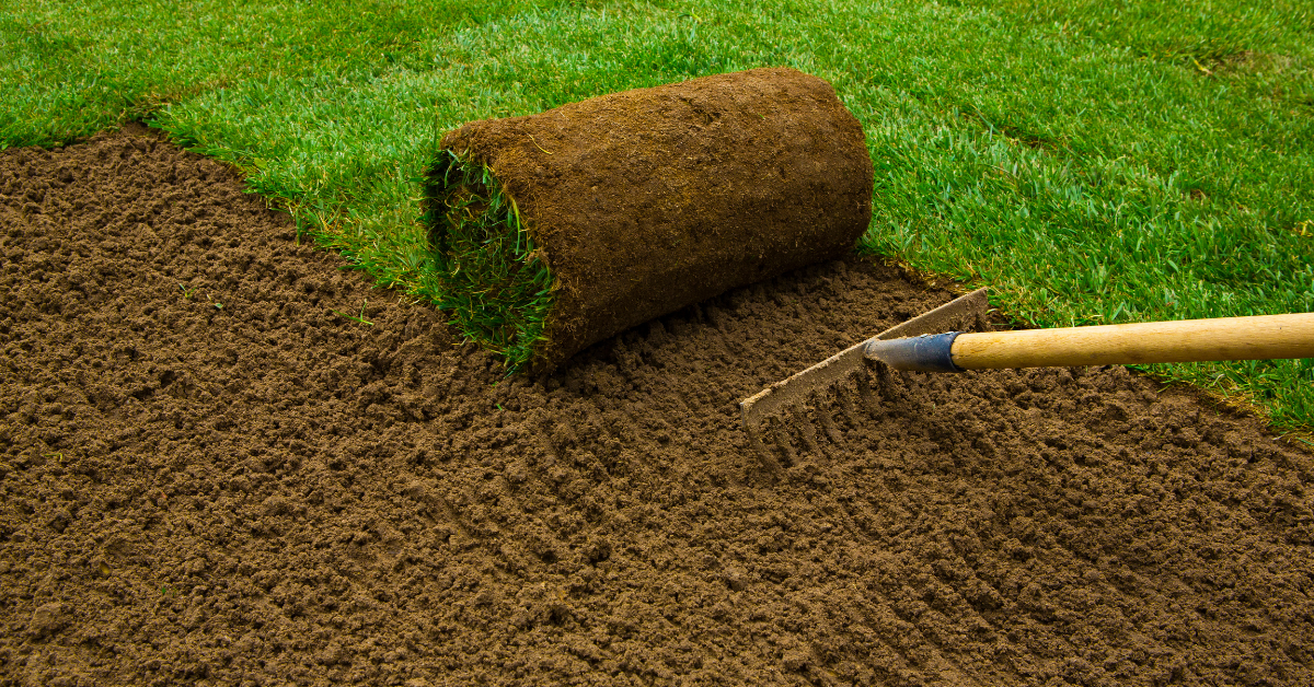 How to Care for Your Sod