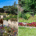 Raised vs. Inground Garden Beds