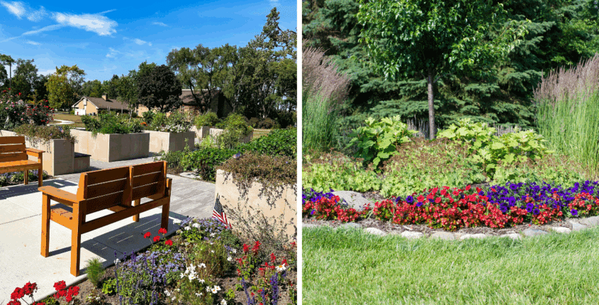 Raised vs. Inground Garden Beds