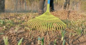 Spring PREPARING YOUR LANDSCAPE FOR A FLOURISHING SEASON