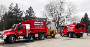 Winter Tree Care Services